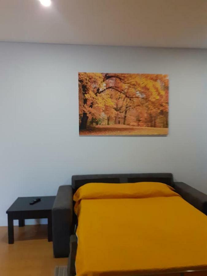 Basto Vila Hotel Кабесейрас де Басто Екстериор снимка